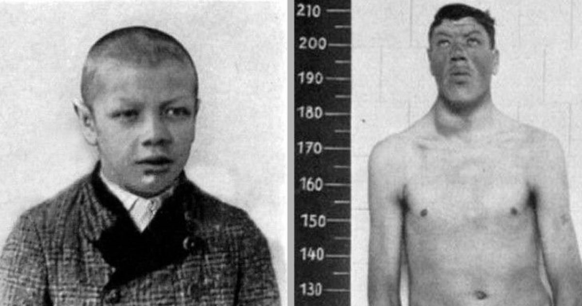 Adam Rainer